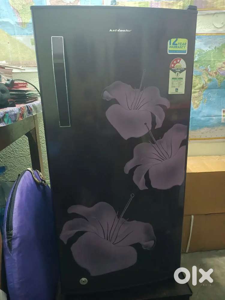 Refrigerator (Fridge)