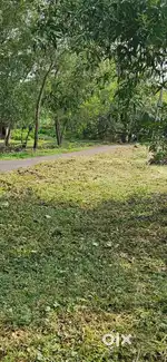1 acre Level Land at  Pariyaram NH 2 km