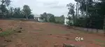 Land for Sale in thachottucavu