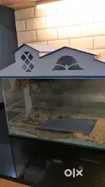 Premium Glass Aquarium