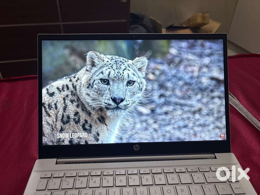 HP Pavillion Ryzen - 5
