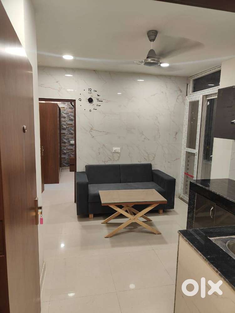 1 BHK Luxury Flat for Rent  VIP Road Zirakpur  WiFi+Modern Amenities