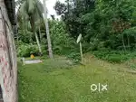 Mati besim 1kotha Barhampur(Nagaon)
