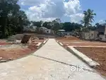 5cent House Plots Sale Njandoorkonam