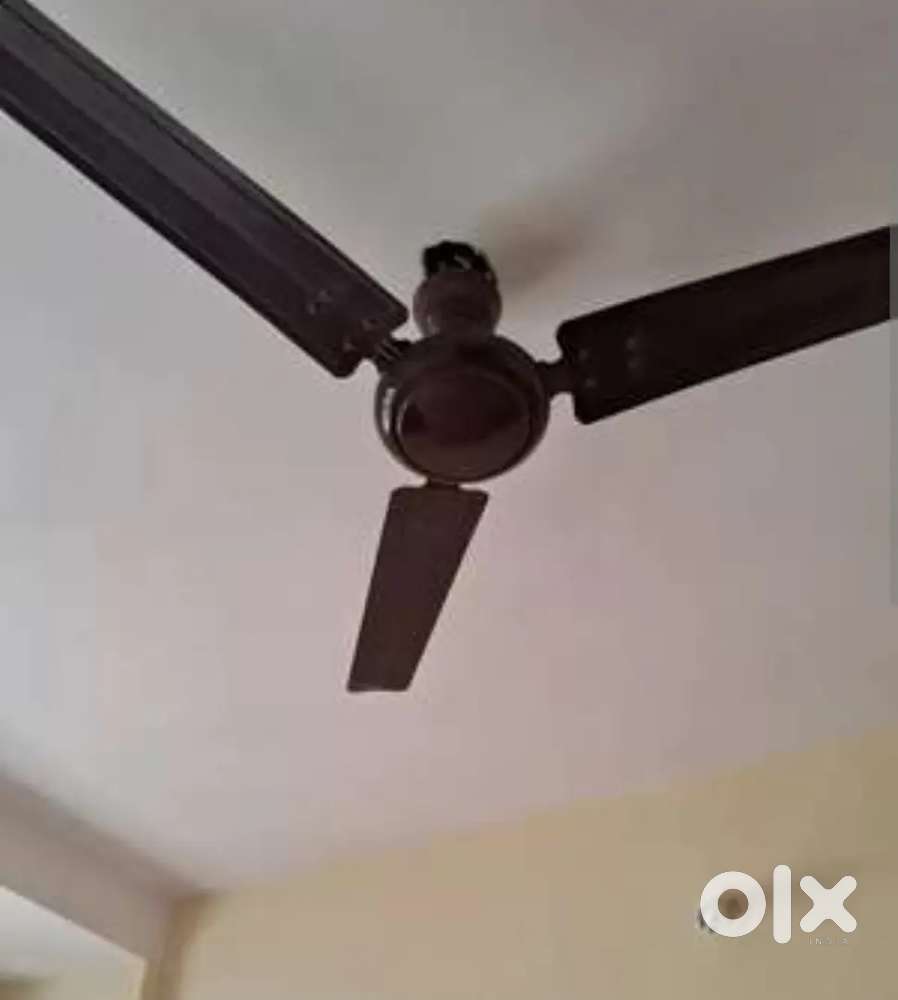 Ceiling fan