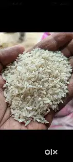 Pure गावाकडचा इंद्रायणी तांदूळ भेटेल /selling indrayani pure rice