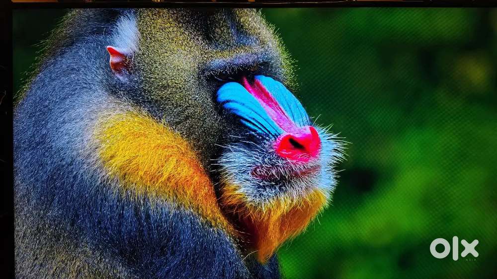 Mi led 4k HD TV 50 inch