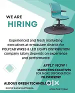Marketing executive