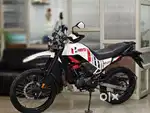 XPULS 200 4V RALLY PRO