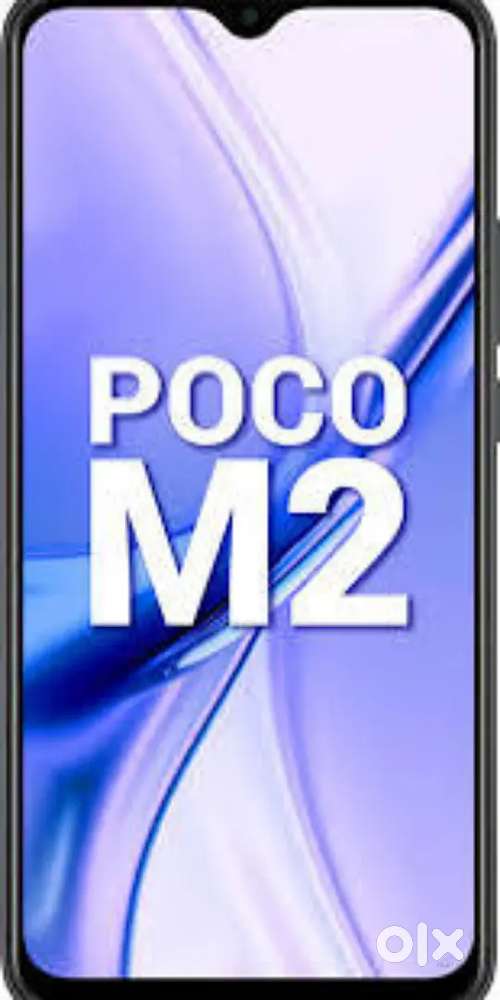 I want flutter developer freelancer