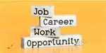 Good home based job data entry work