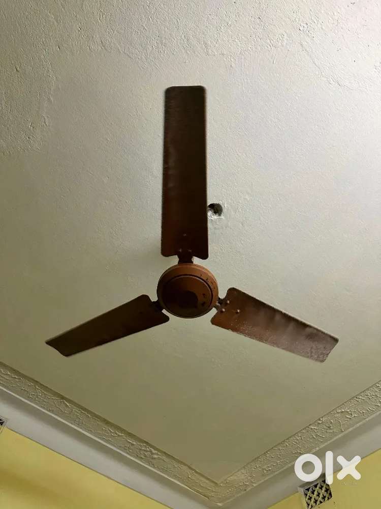 Celing Fan