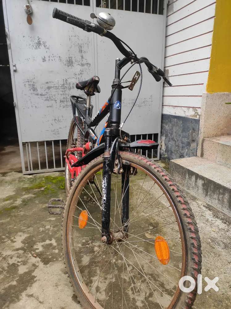 Avon cycle. 1year age