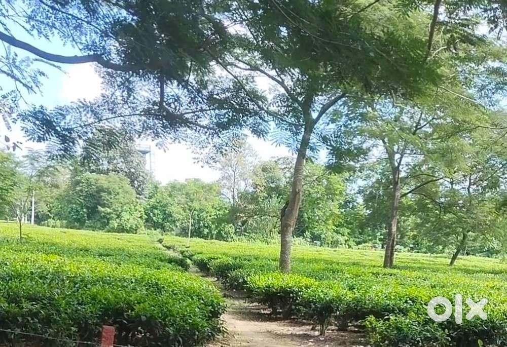 Land for sale, 1 Bigha