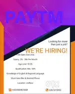 Field sales executive
