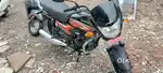 Shine 100 CC sfor sell