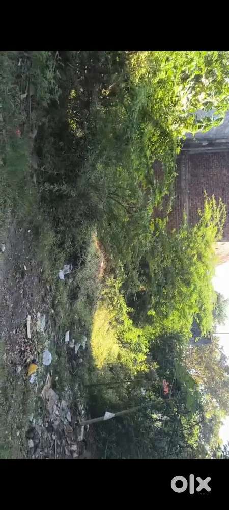 Increasing rate colony