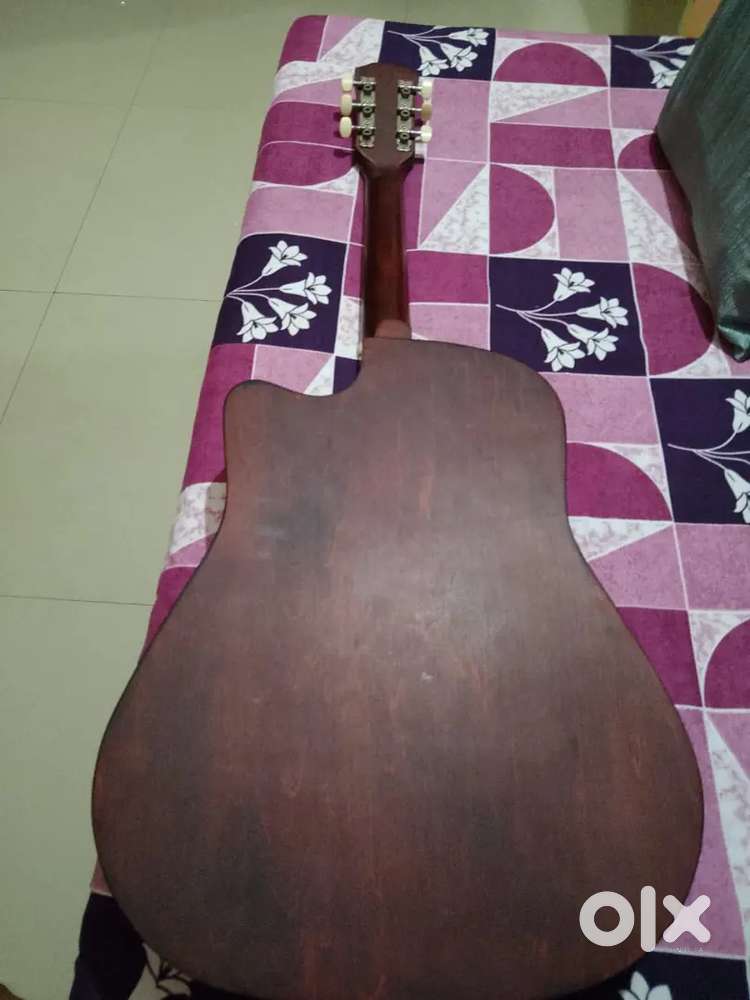 Guitar with cover