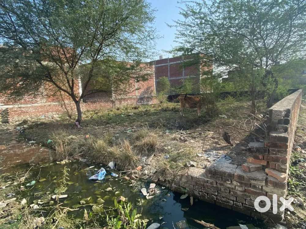 Good place near shiv mandir