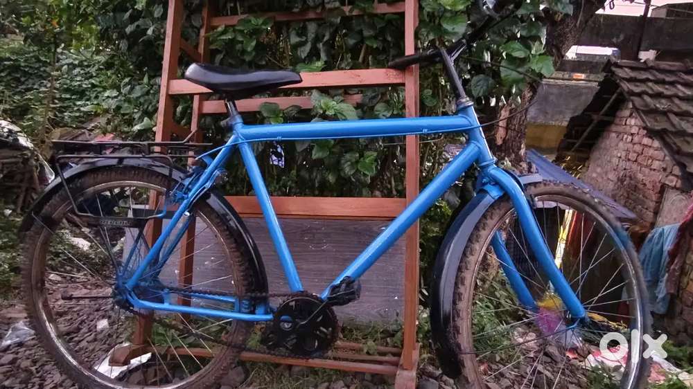 Hercules cycle. condition good. no problem.