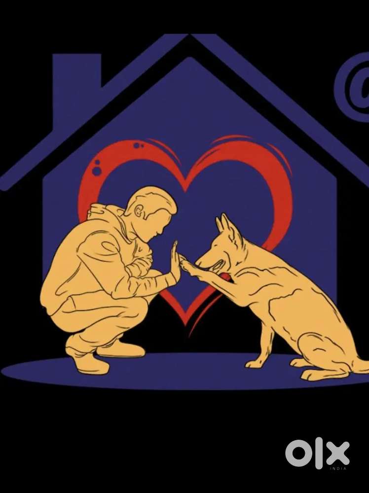 Driver Job vacancy @Venus Pet Care