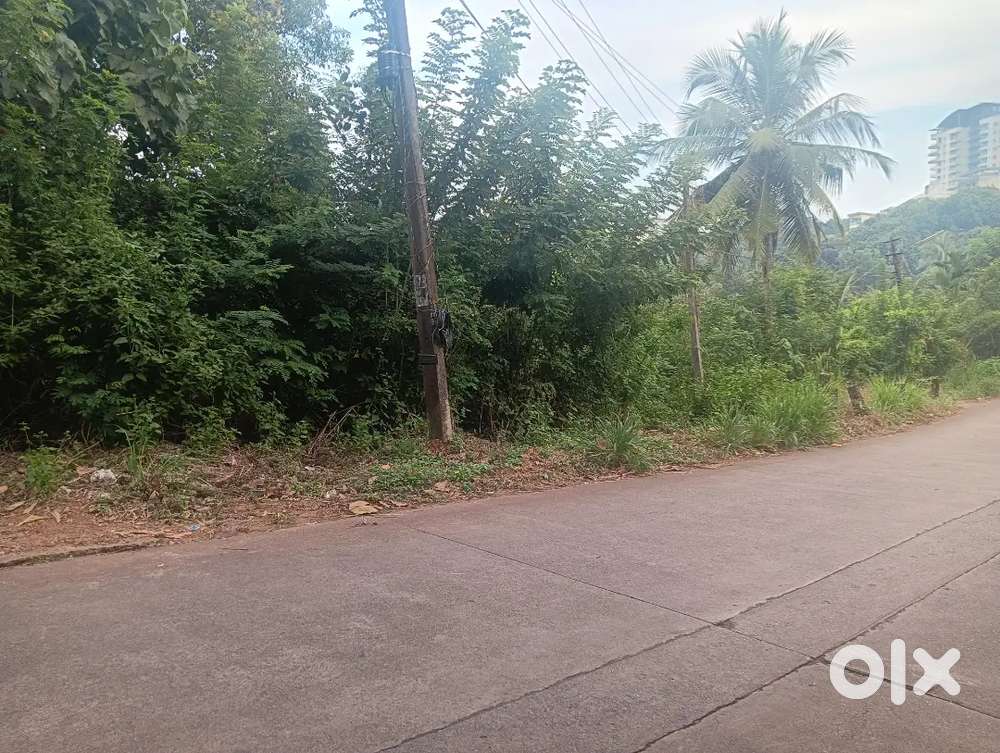 21.50 Cents Commercial Land Bluberihill Haripadau