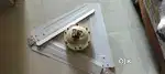 Usha Celing Fan