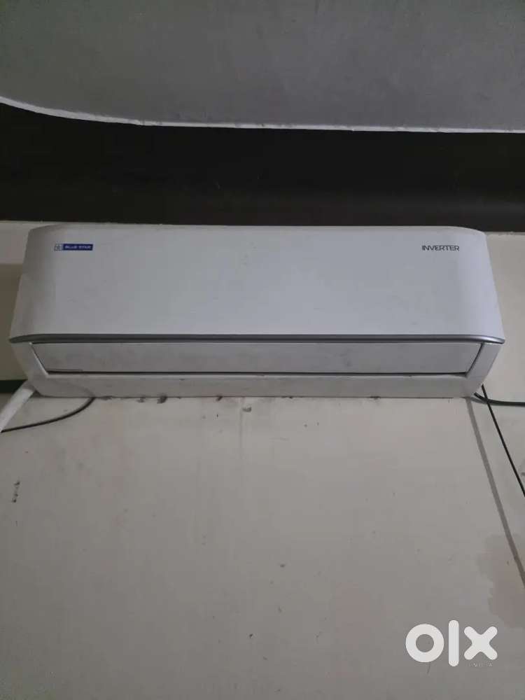Bluestar Invertor AC 3 Star 9 Month Old Purchasing Date 23/1/2025