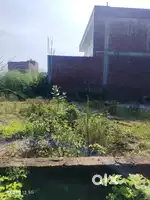 Plat  50 ghaj ka he