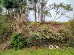 8 cent of land to build a nice house to live around moutain climate…..