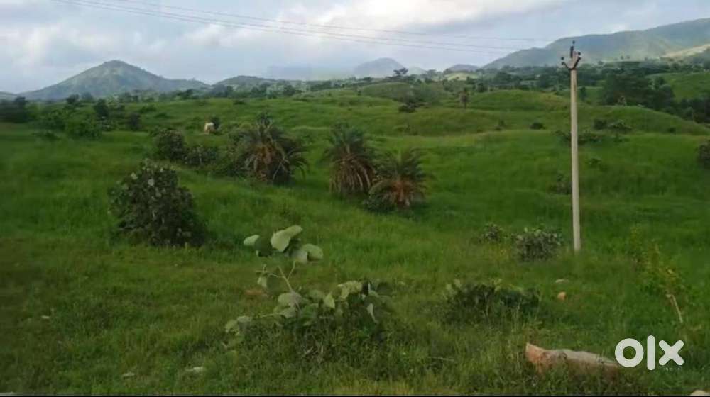 Prime 7.25 Bigha Aravali Hills Land  Near Udaipur  Resort/Farmhouse