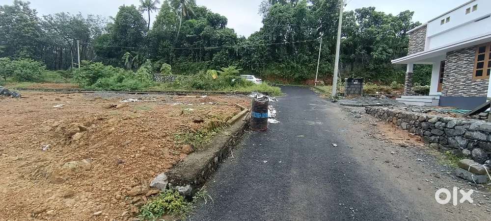 ANGAMALY PULIYANAM JUNCTION NEAR BY 5,6,8, 10 CENT PLOTS AVAILABLE