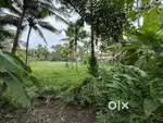 58 cents of prime land for sale in thaikkad