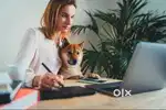 Work From Home – Start Earning Without Leaving Your House!