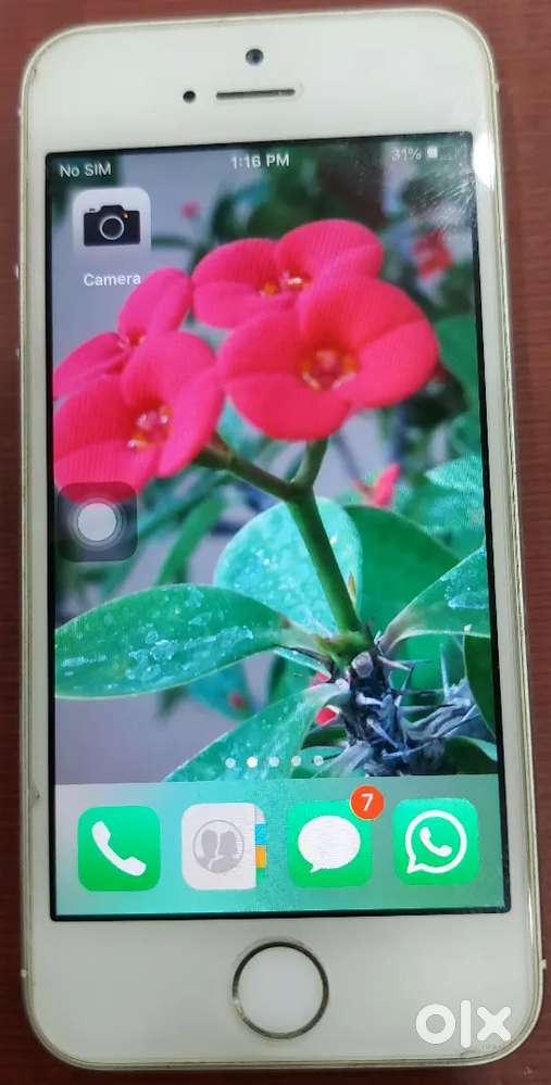 IPhone 5S (16GB, White)