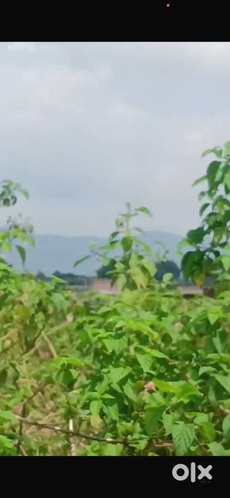 residential plot in prime location in Ranchi
