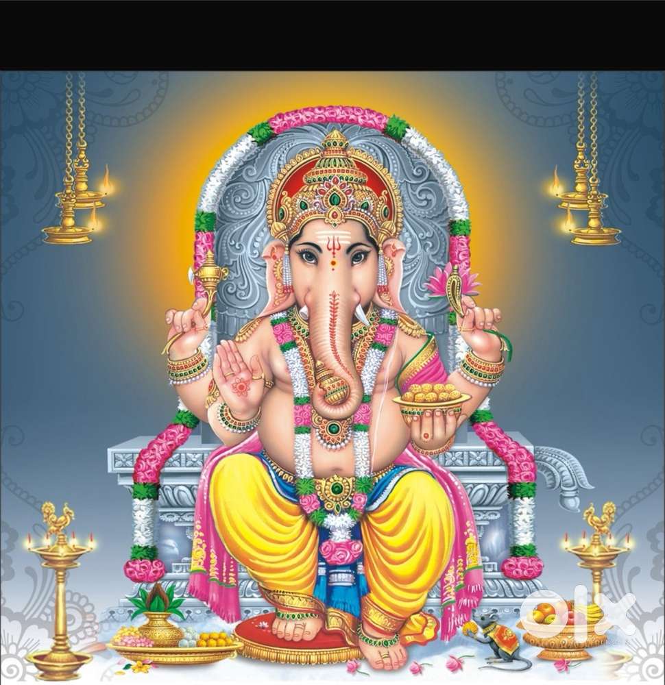 Wanted Accounts assistant