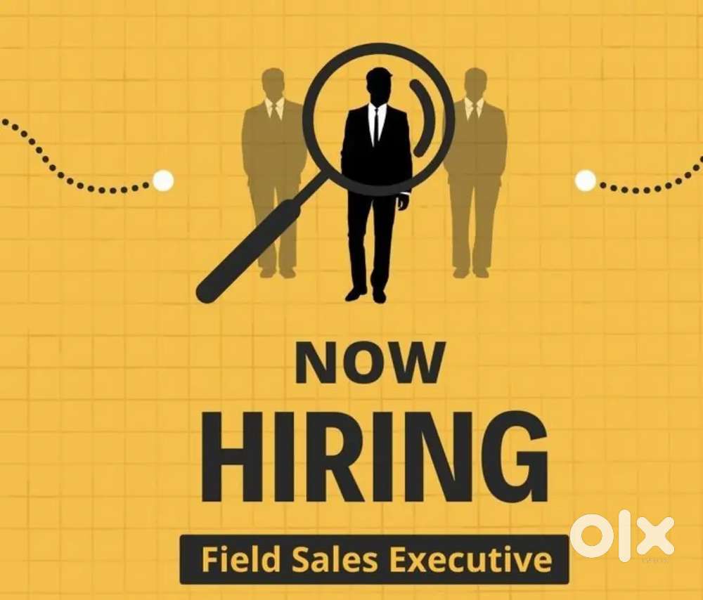 Field sales executive