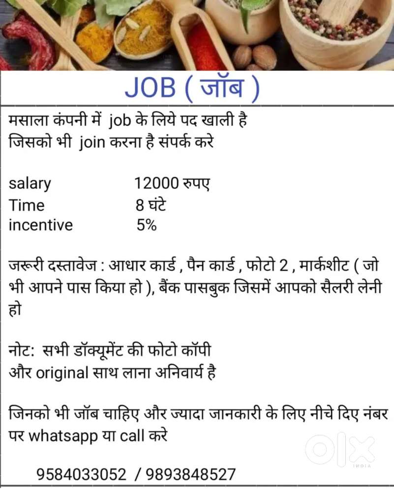 Job  in masala company