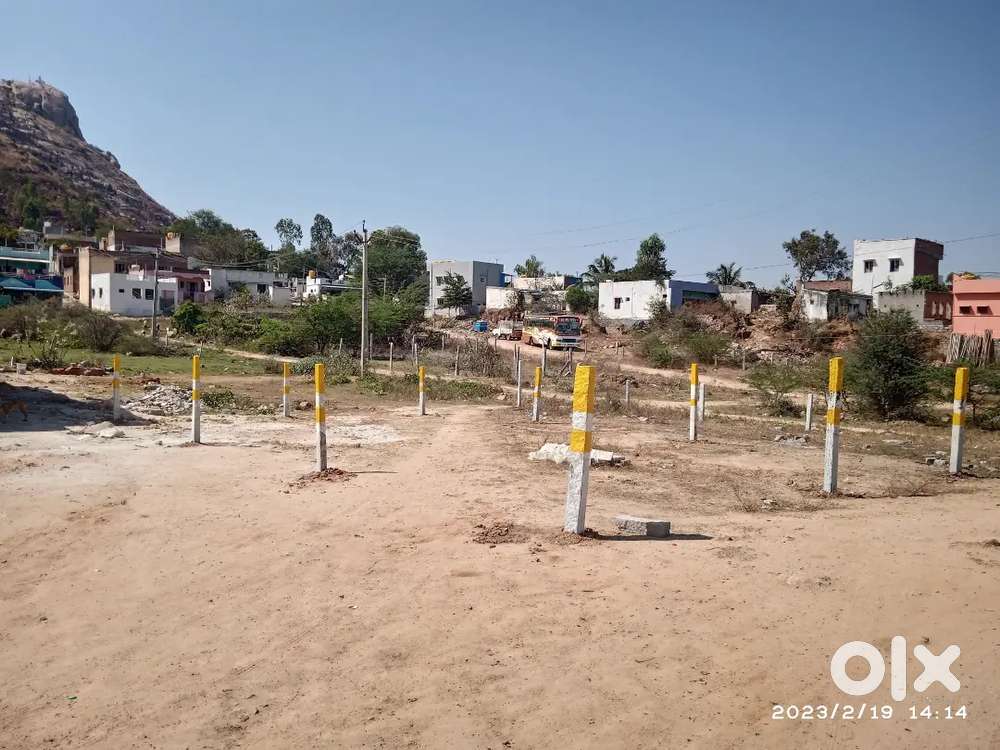 BasiniKonda Sai Baba temple back side punnur Road bypass