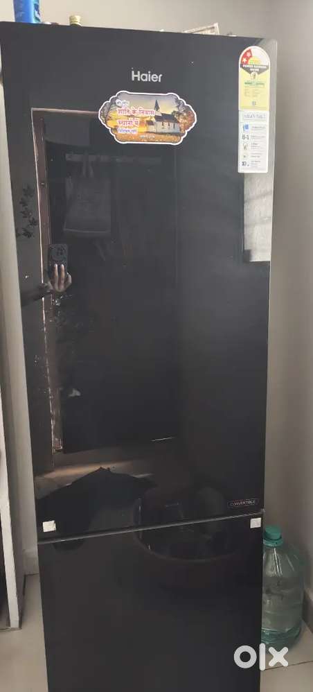 Haier bottom friger
