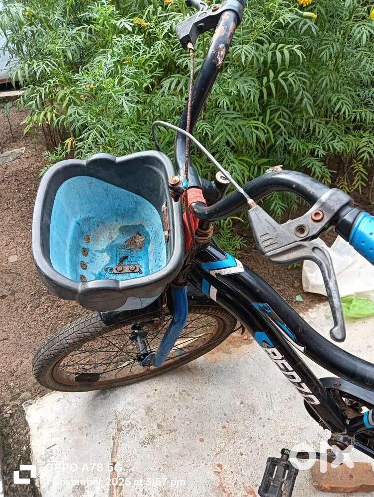 Benzo children cycle