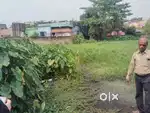 Link park main and more than 3 kottah clean land full ownership wine