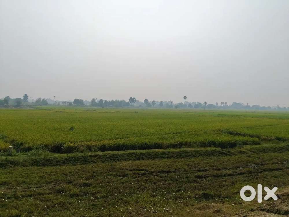 Plot available for sale in beldarichak