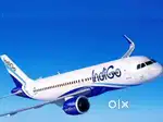 Need for ground staff jobs