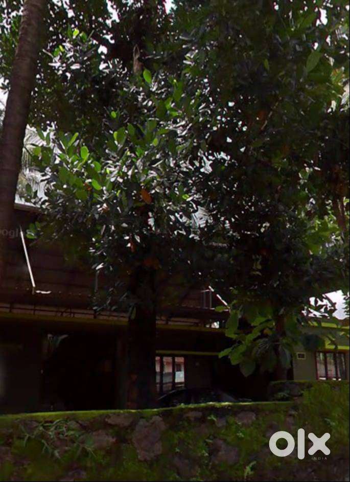 TWO-2 BHK Flat for Immediate Rent near Amala Hospital, Affordable Rent