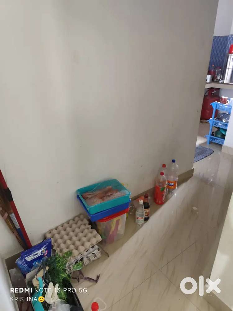 Need A Female Roommates