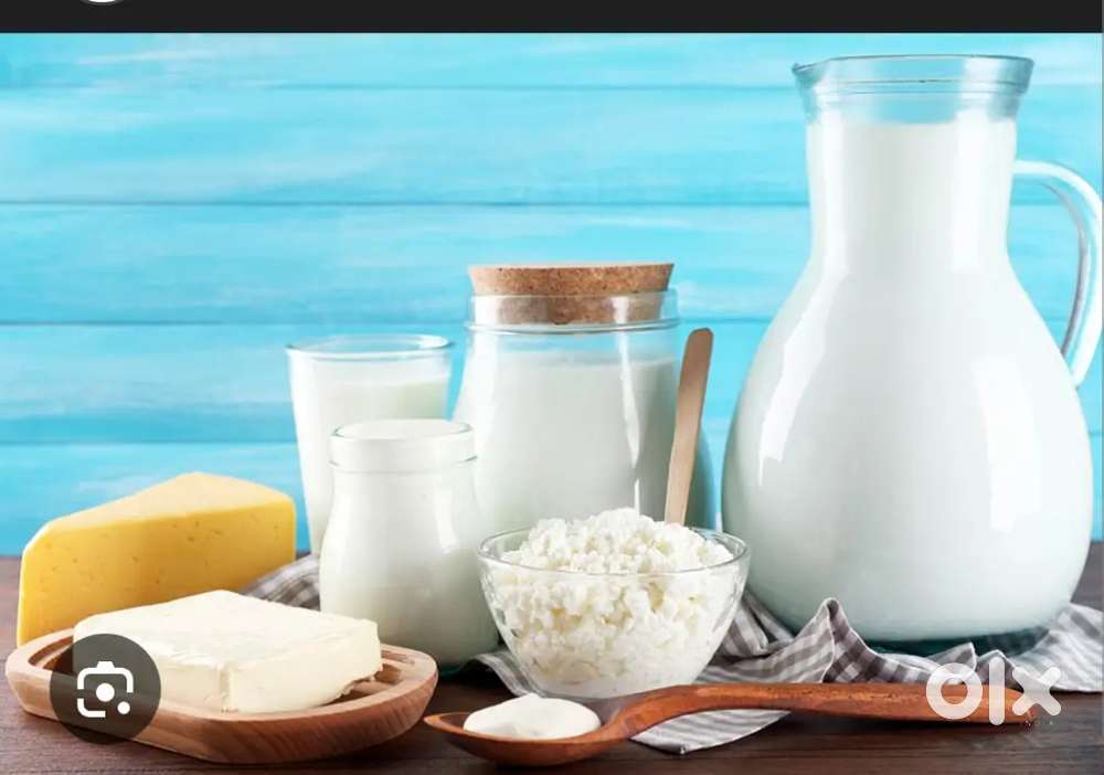 Need people for milk shop should know how to make curd ,paneer, lassi