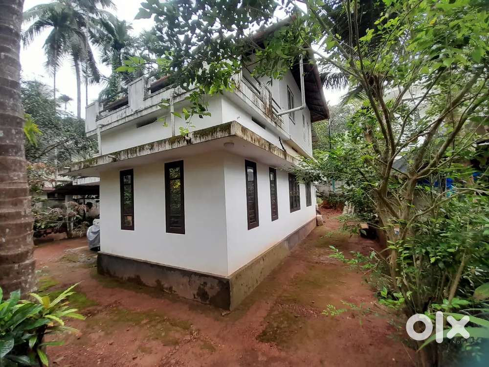 15 cent,well ,Two House place ,Near main road