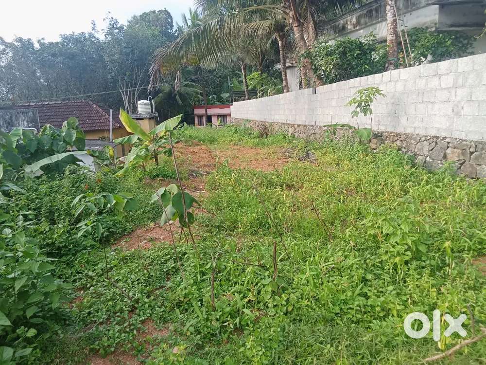 To sell this land